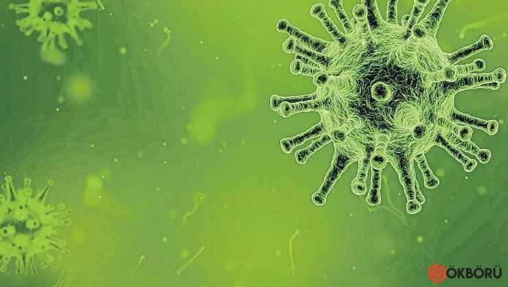 Koronavirüs bulundu! 40 farklı mutasyon geçirmiş!